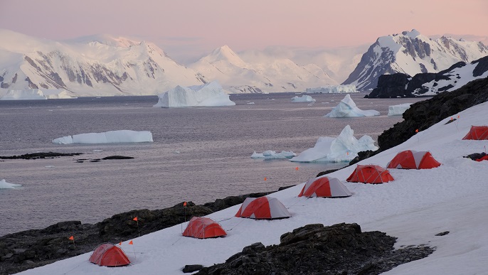 キャンプ_南極旅行