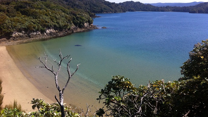 スチュワート島