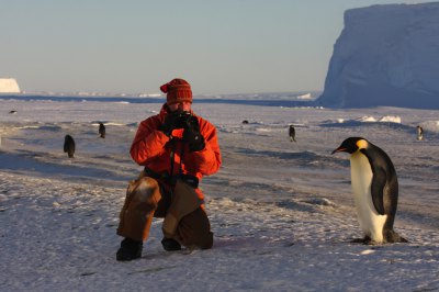 コウテイペンギンの営巣地を訪ねる旅