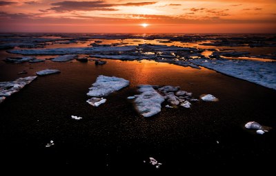 知られざるチュクチ半島とウランゲリ島探検クルーズ 16日間 コース詳細 南極旅行 北極旅行のクルーズ ツアー 株 クルーズライフ