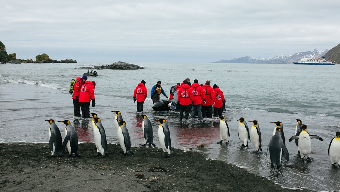 ゾディアック・クルーズ、上陸／南極クルーズ