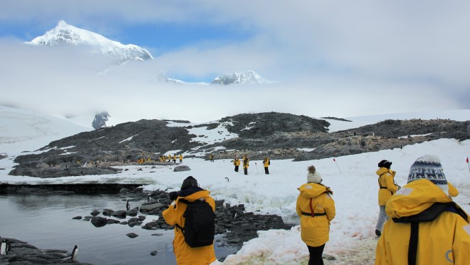 上陸観光/南極観光&南極ツアー