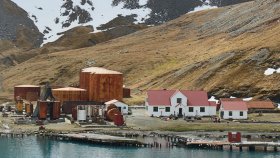 グリトビケン(Grytviken)