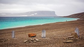 ビーチー島(Beechey Island)