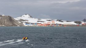 キングジョージ島（KING GEORGE ISLAND）