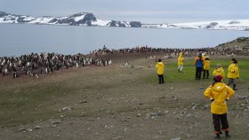 アイチョ諸島 （AITCHO ISLAND）