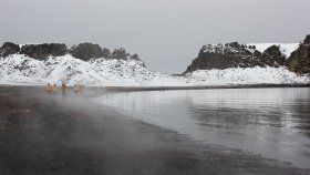 ホエーラーズ湾（WHALER’S BAY）