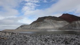 ポーレット島 （PAULET ISLAND）