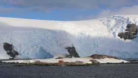 ミケルセン・ハーバー（Mikkelsen Harbor）