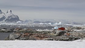 ピーターマン島  （PETERMANN ISLAND）