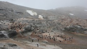 ゴーディン島（Gourdin Island）