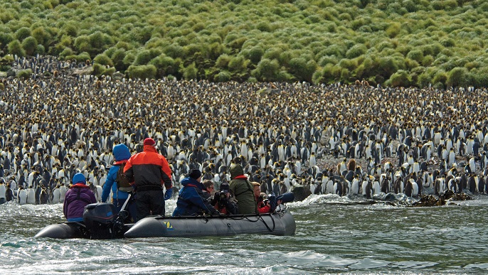 マッコーリー島／Heritage Expeditions