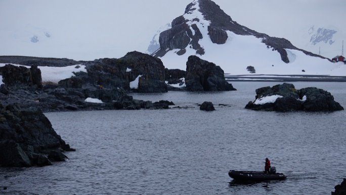 ハーフムーン島／南極旅行